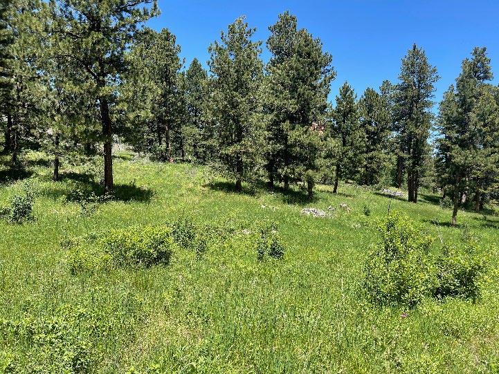 A photograph of the landscape at Duncan Ranch