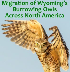 WY Naturalist Newsletter0822.jpg